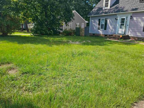 Photo of 253 Gusty Lane, Hopkins, SC 29061 (MLS # 623356)