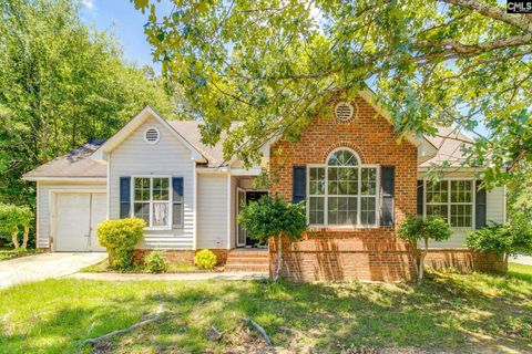 Photo of 315 Stamport Circle, Irmo, SC 29063 (MLS # 638821)