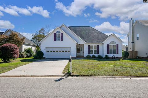 Photo of 209 Spring Tyme Court, Lexington, SC 29073 (MLS # 620935)