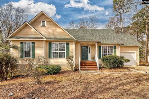 Photo of 13 Gidding Court, Irmo, SC 29063 (MLS # 627709)