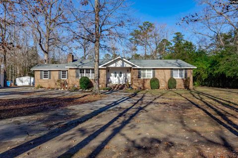 Photo of 540 Lakeshore Drive, Chapin, SC 29036 (MLS # 623664)