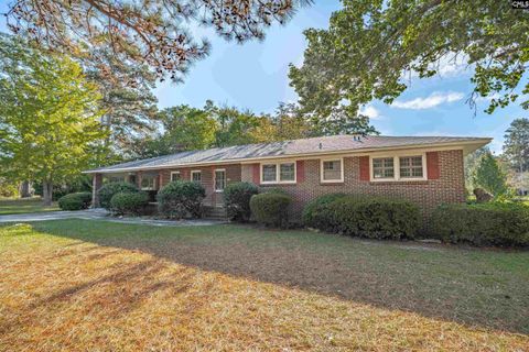 Photo of 107 Barnett Drive, Bishopville, SC 29010 (MLS # 619726)