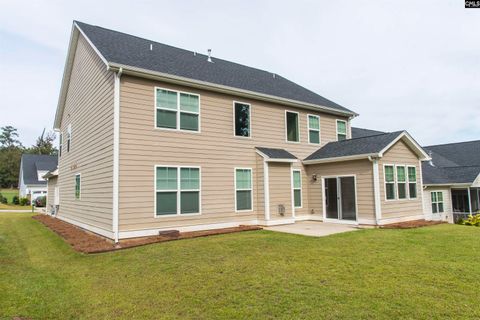 A home in Chapin