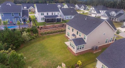 A home in Chapin