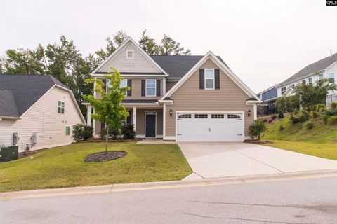 A home in Chapin