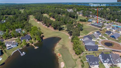 A home in Chapin