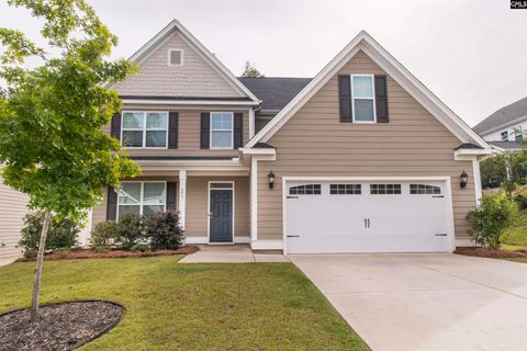 A home in Chapin