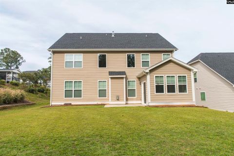 A home in Chapin