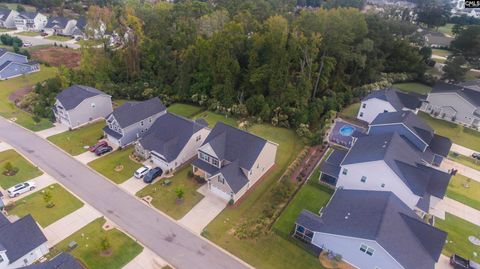 A home in Chapin