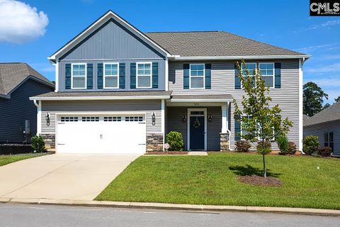 Photo of 533 Mitscher Way, Chapin, SC 29036 (MLS # 619653)