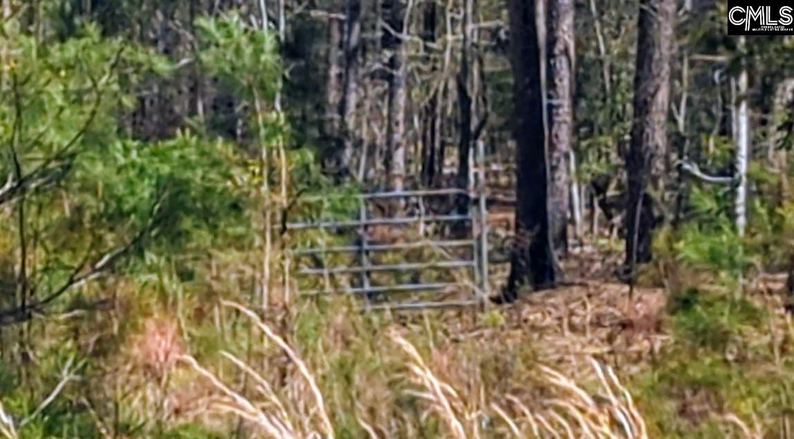 Photo 1 of 3 — Off Evergreen Road, Winnsboro, SC 29180