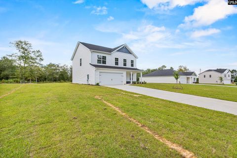 Photo of 177 Calm Citadel Drive, Pelion, SC 29123 (MLS # 626992)
