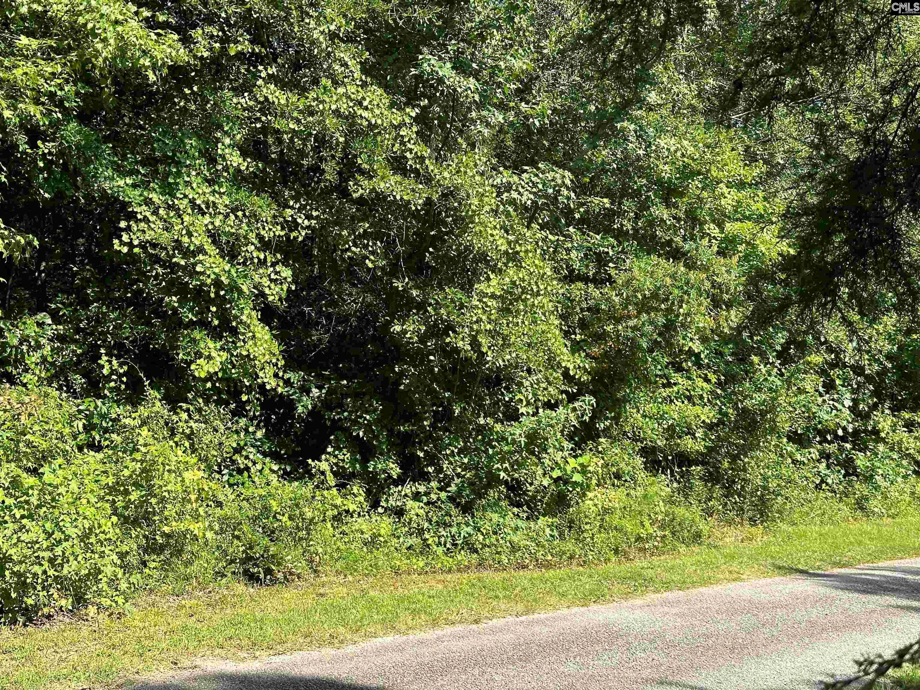 Hoover Lane