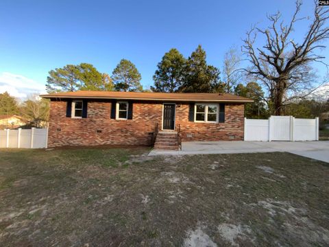 Photo of 3104 Bachman Road, Gaston, SC 29053 (MLS # 629000)