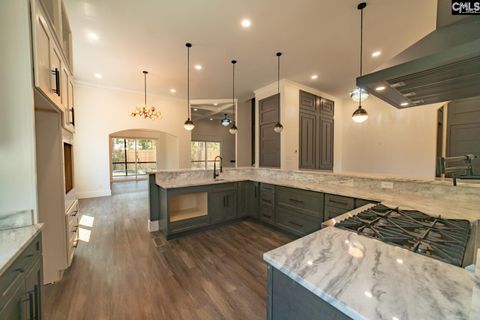 Photo of 41 Dinkins Place Road, Blythewood, SC 29016 (MLS # 618669)