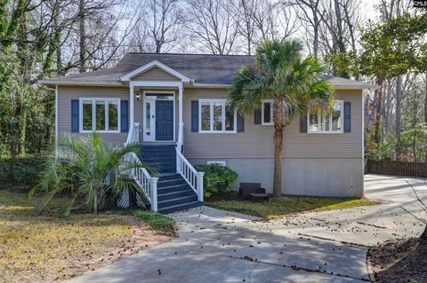 Photo of 611 Clearview Court, Columbia, SC 29212 (MLS # 624881)