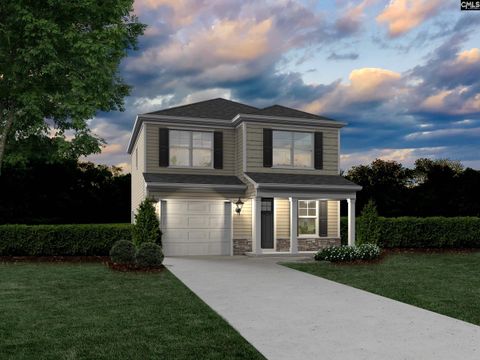 Photo of 254 Brando Way, Columbia, SC 29223 (MLS # 622199)