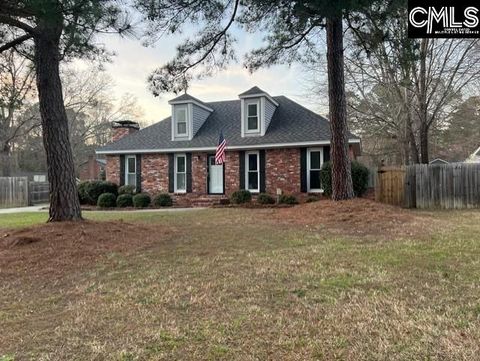 Photo of 124 Aylesbury Road, Irmo, SC 29063 (MLS # 628559)