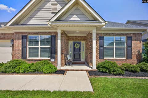 Photo of 115 Rainbow Shad Way, Lexington, SC 29072 (MLS # 641166)