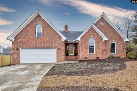 Photo of 3 Tattlers Court, Irmo, SC 29063 (MLS # 623206)