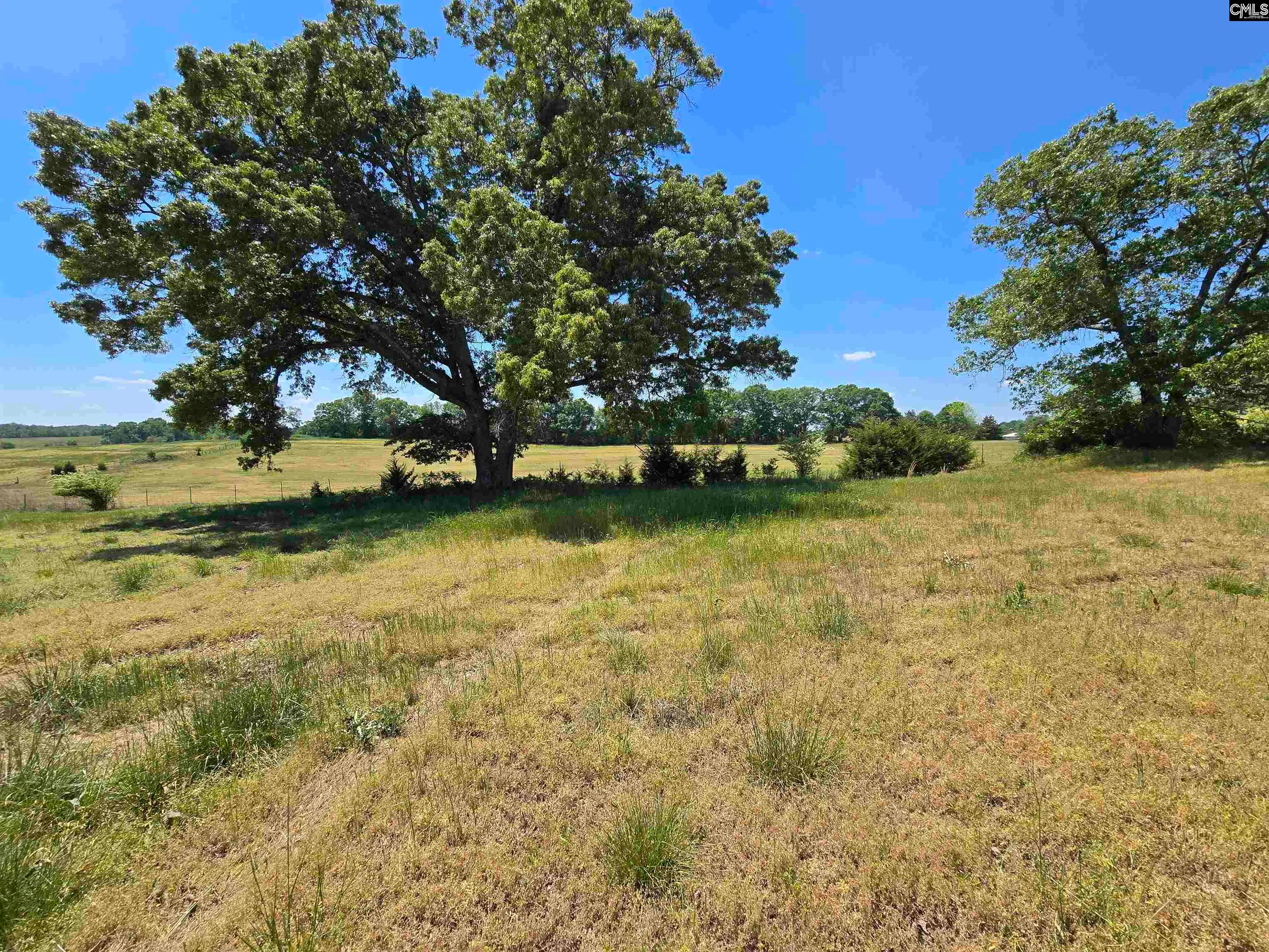 542 Pea Ridge Highway, Jonesville, SC, 29353