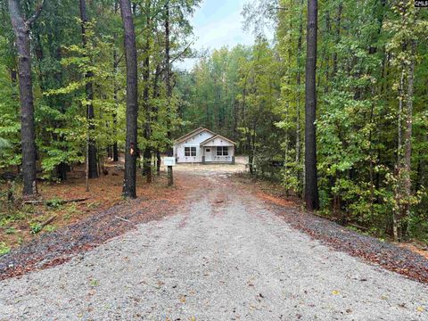 Photo of 756 Old Belleville Road, St. Matthews, SC 29135 (MLS # 619475)
