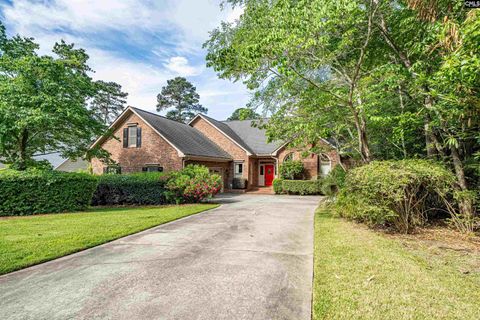 Photo of 573 Wateroak Trail, Chapin, SC 29036 (MLS # 635133)