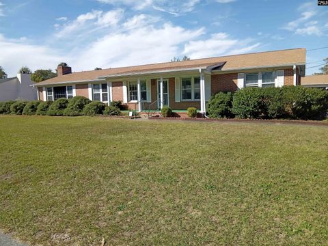 Photo of 109 Wessinger Drive, Lexington, SC 29072 (MLS # 621479)