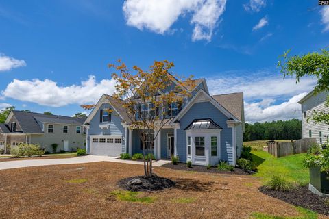 A home in Chapin