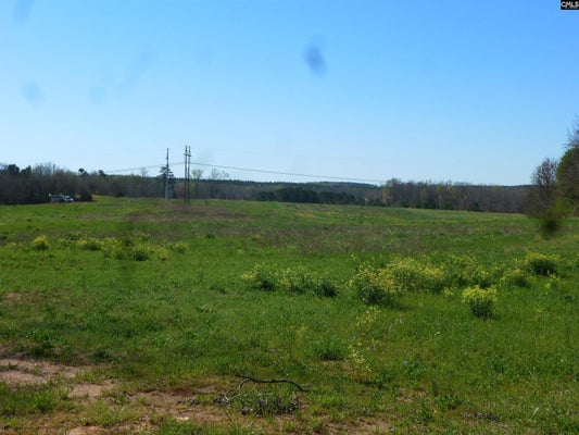 6298 SC HIGHWAY 34, NEWBERRY, SC 29108 - Image eeca58d3a6b9adae3012701bebf2dc63/899270140