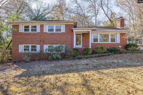 Photo of 1305 Alpine Drive, West Columbia, SC 29169 (MLS # 623833)
