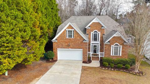 Photo of 412 Mana Vista Court, Lexington, SC 29072 (MLS # 623115)