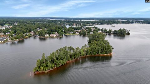 A home in Chapin