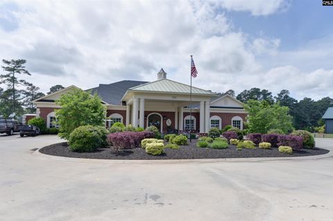 A home in Chapin