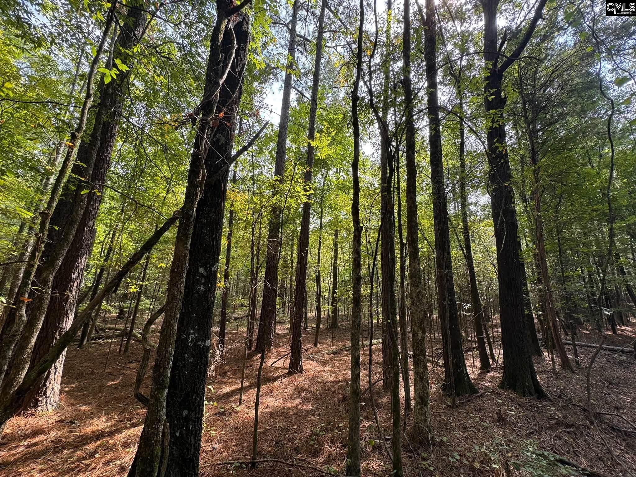 Pencreek Road