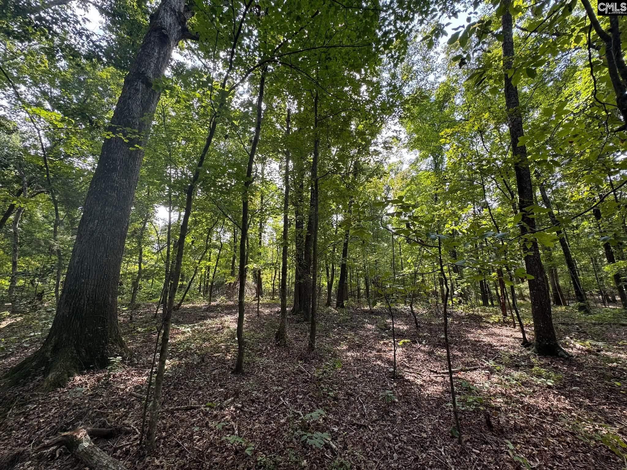 Pencreek Road