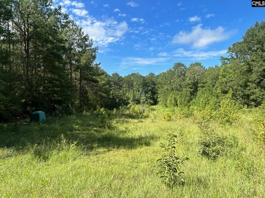OLD DUTCH RD, LITTLE MOUNTAIN, SC 29075 - Image ef993e50d60c9cf4ff9c8a05eedb3e28/865657364