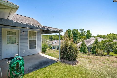 A home in Chapin