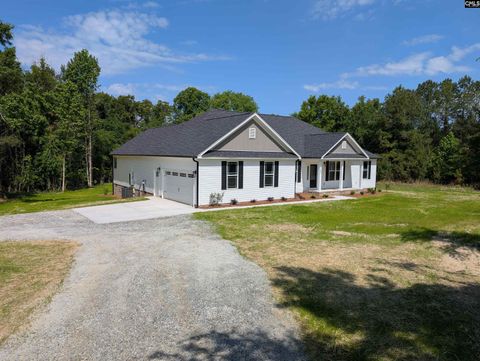 Photo of 4195 SC Highway 773, Pomaria, SC 29126 (MLS # 631257)
