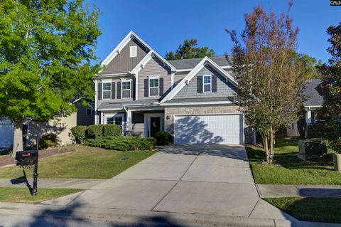 Photo of 756 Kimsey Drive, Chapin, SC 29036 (MLS # 618788)