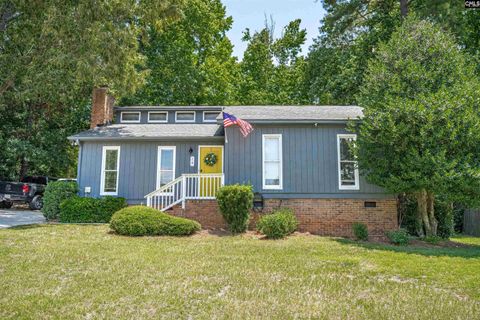 Photo of 14 Crane Branch Court, Columbia, SC 29212 (MLS # 638419)