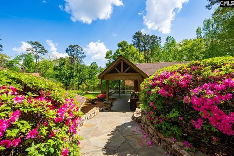 Photo of 172 Oliver Metze Road, Lexington, SC 29072 (MLS # 631345)