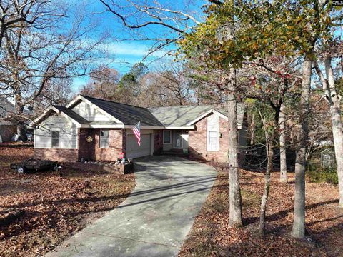 A home in Irmo