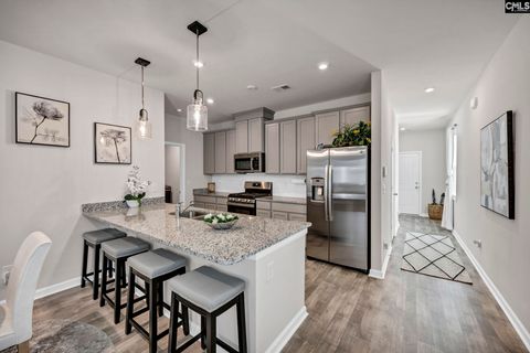 Photo of 420 Lady Liberty Way, Lexington, SC 29073 (MLS # 628642)