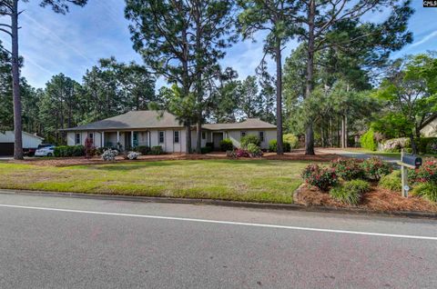 Photo of 413 Valhalla Drive, Columbia, SC 29229 (MLS # 631162)