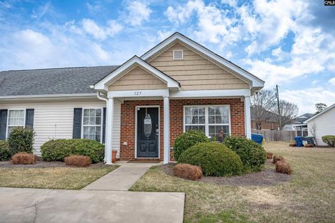 Photo of 127 Agape Village Court, West Columbia, SC 29169 (MLS # 627386)