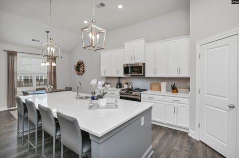 Photo of 208 Doe Meadow Lane, Elgin, SC 29045 (MLS # 625724)