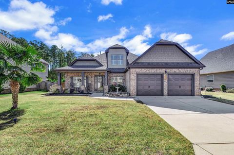 Photo of 229 Lever Pass Road, Chapin, SC 29036 (MLS # 629377)