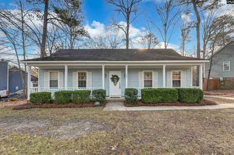 A home in Irmo