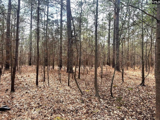 OLD DUTCH RD, LITTLE MOUNTAIN, SC 29075 - Image f2d657f40bf3c71e312e91451197fea9/3293571404